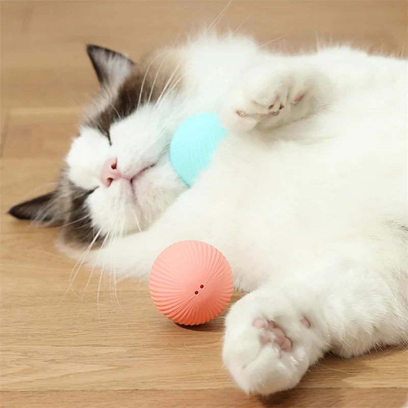 Interactive Smart Dog Ball | Automatic Rolling ball