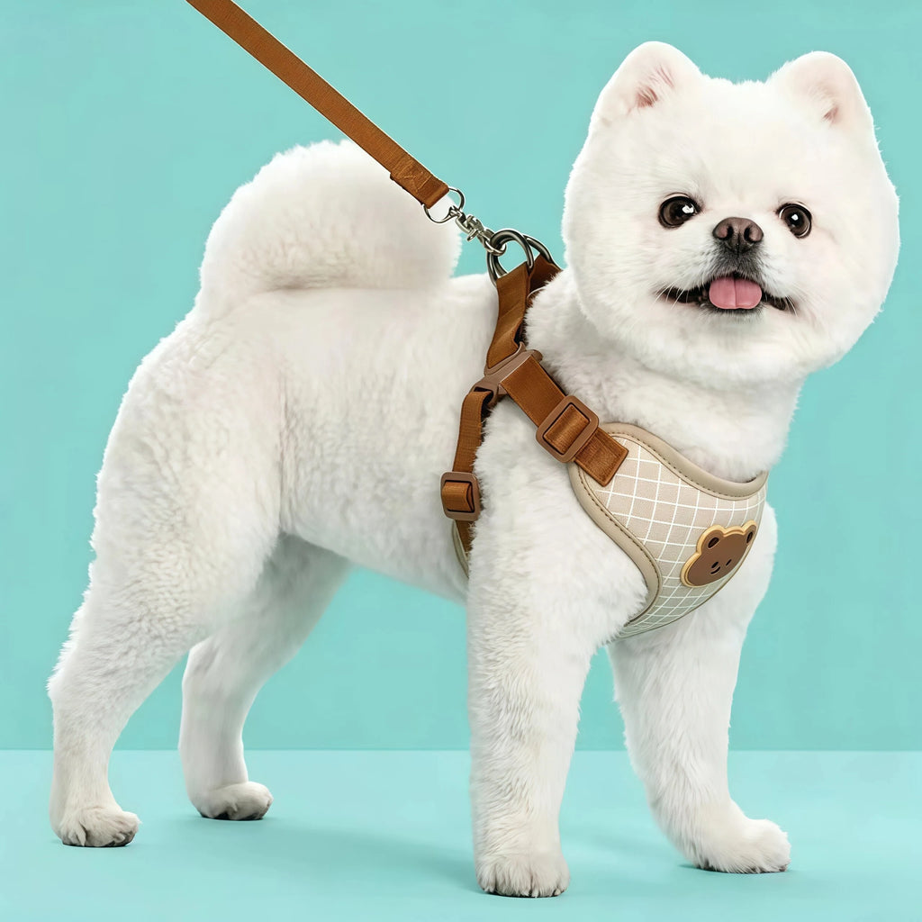 Reflective Pet Harness & Lead Set | Adjustable Dog & Cat Walking Vest