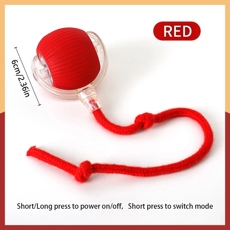 Interactive Smart Dog Ball | Automatic Rolling ball