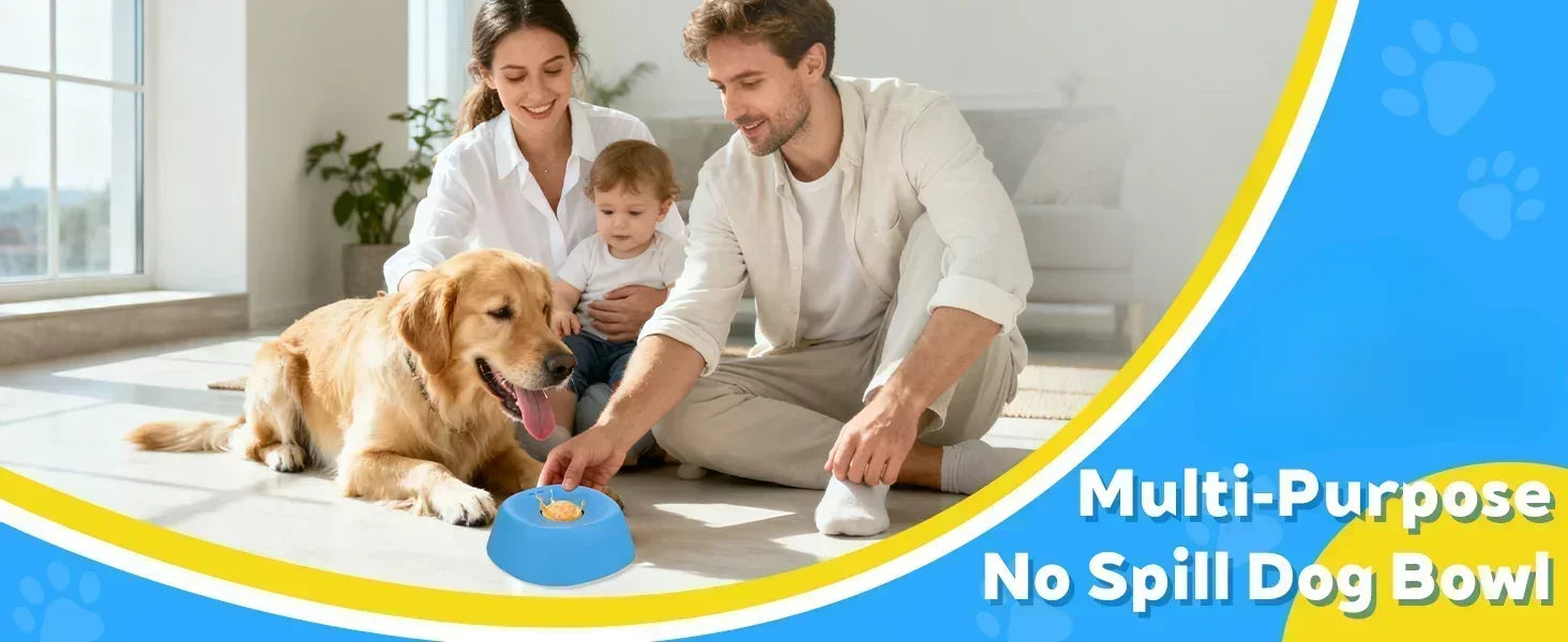 Interactive Slow Feeder Lick Bowl