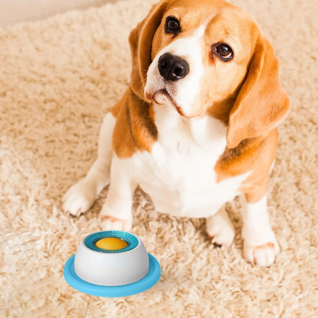 Interactive Dog Treat Puzzle Bowl
