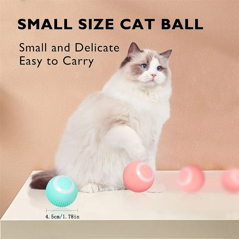 Interactive Smart Dog Ball | Automatic Rolling ball