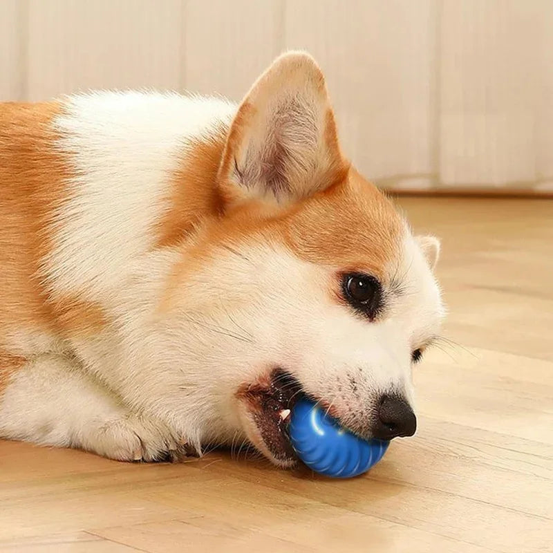 Interactive Smart Dog Ball | Automatic Rolling ball