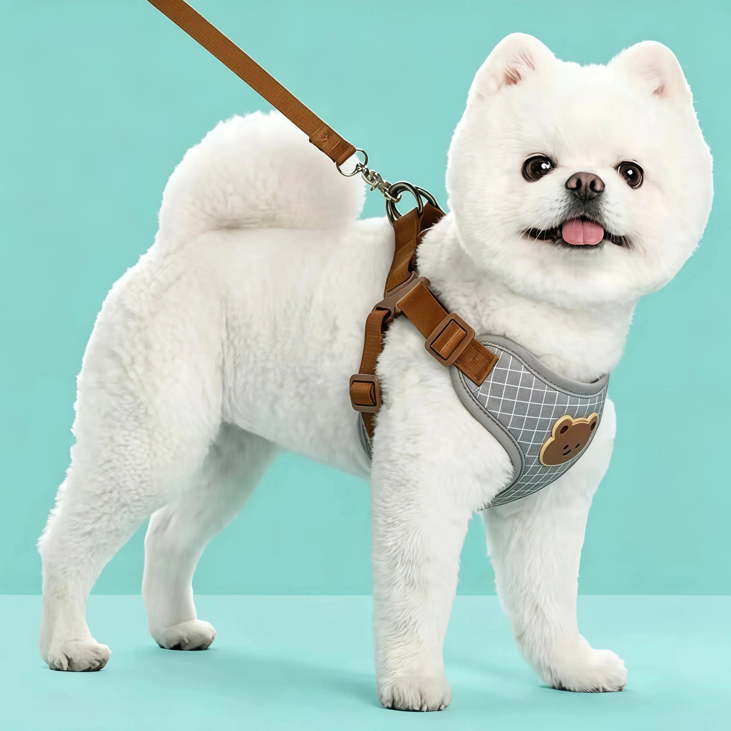 Reflective Pet Harness & Lead Set | Adjustable Dog & Cat Walking Vest
