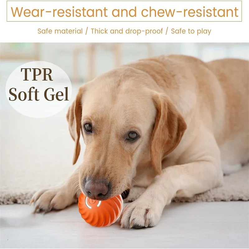 Interactive Smart Dog Ball | Automatic Rolling ball
