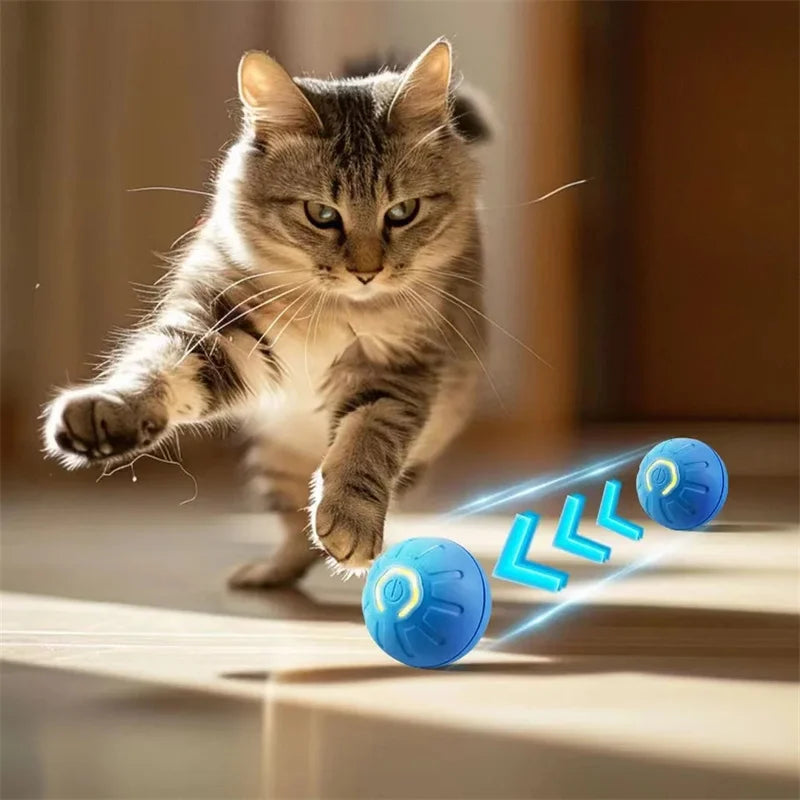 Interactive Smart Dog Ball | Automatic Rolling ball