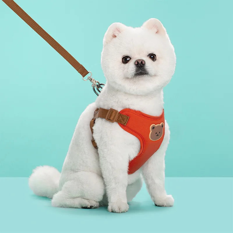 Reflective Pet Harness & Lead Set | Adjustable Dog & Cat Walking Vest