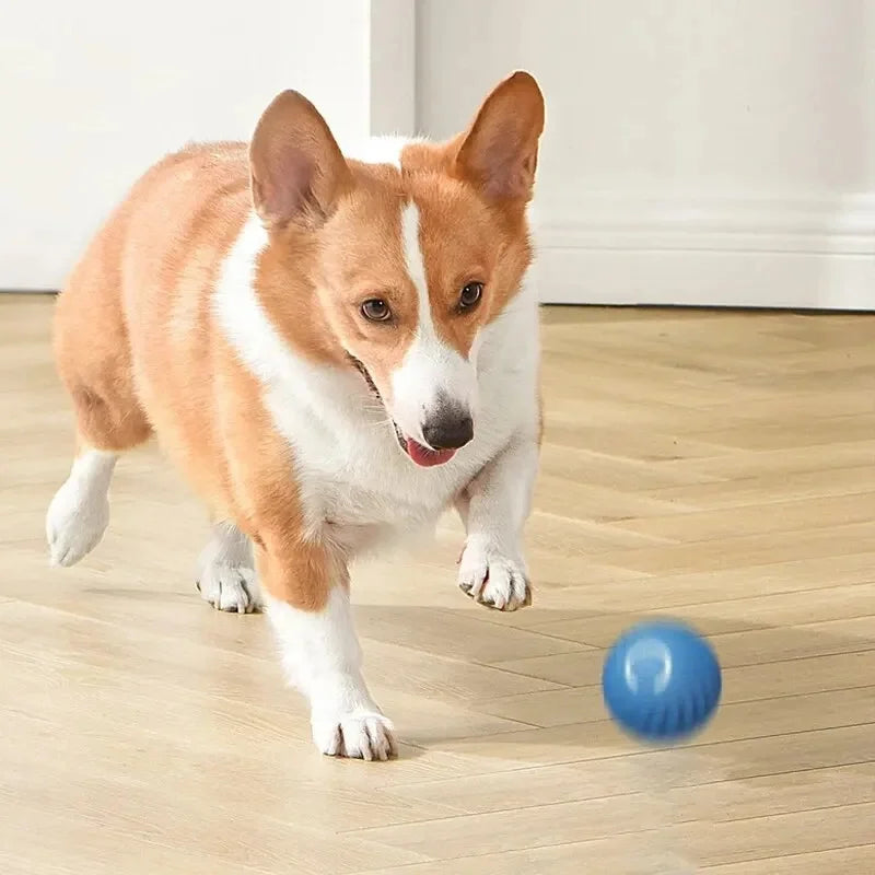 Interactive Smart Dog Ball | Automatic Rolling ball