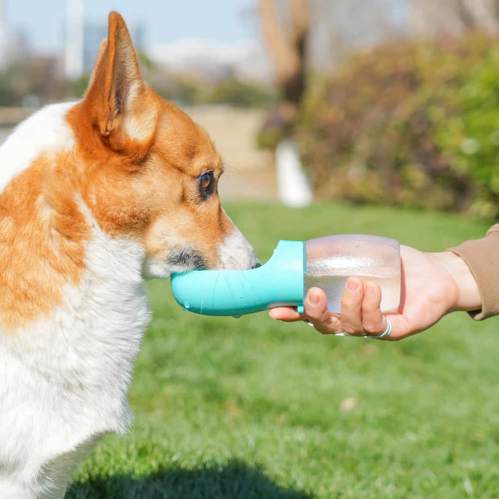 Portable Pet Water Bottle | Dog & Cat Travel Bottle