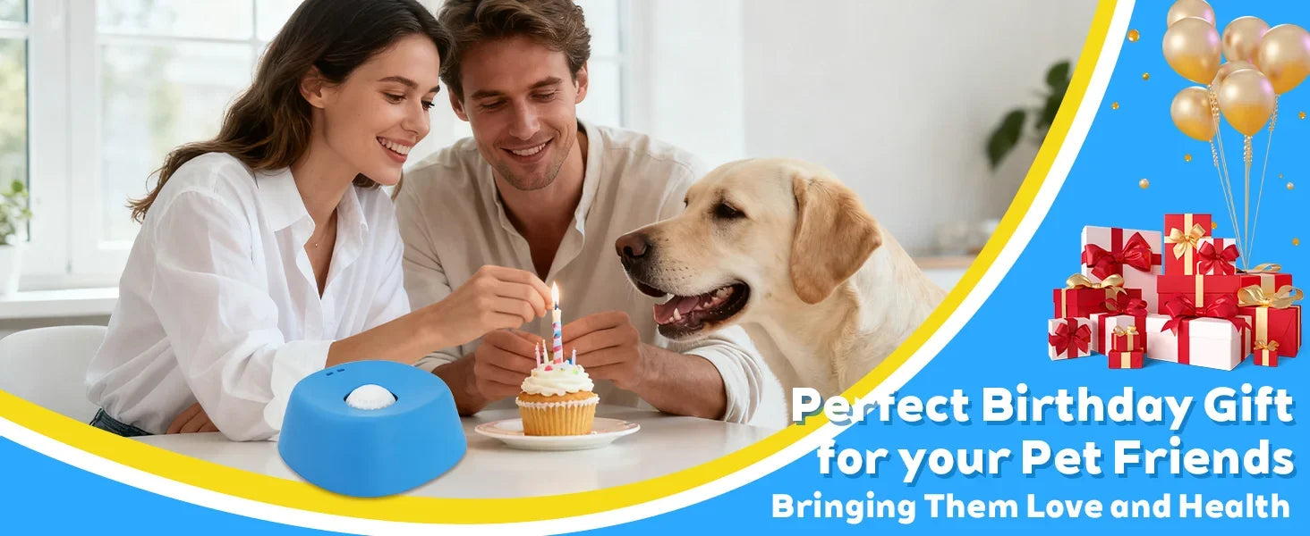 Interactive Slow Feeder Lick Bowl