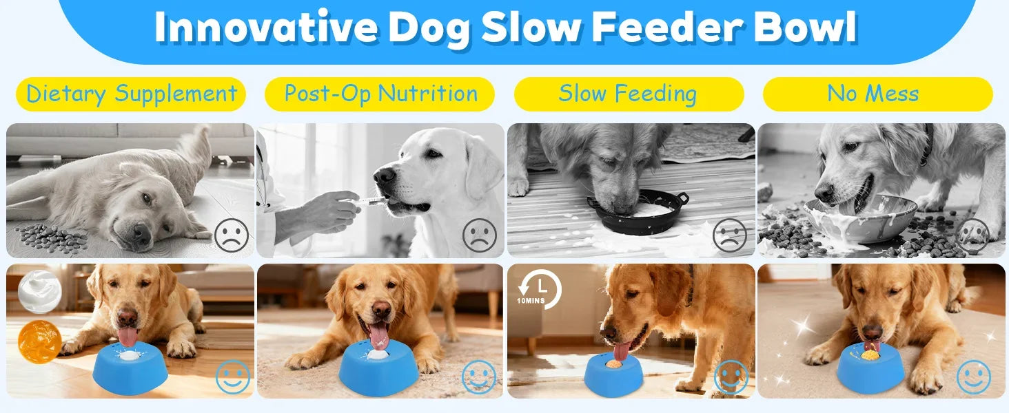 Interactive Slow Feeder Lick Bowl