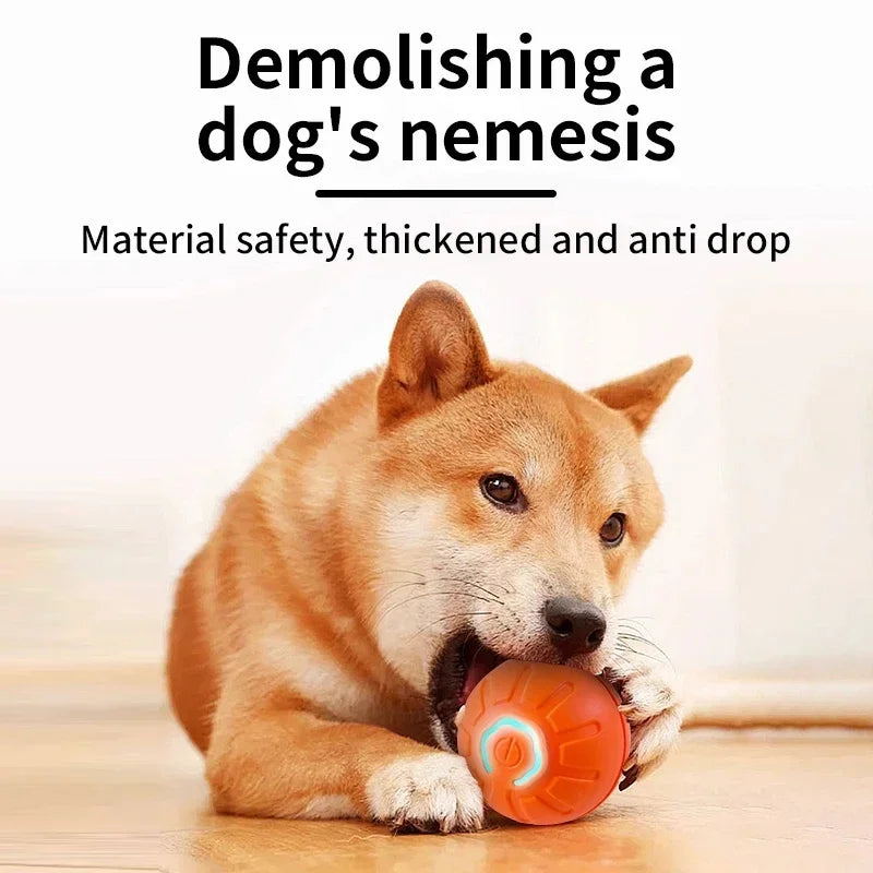 Interactive Smart Dog Ball | Automatic Rolling ball