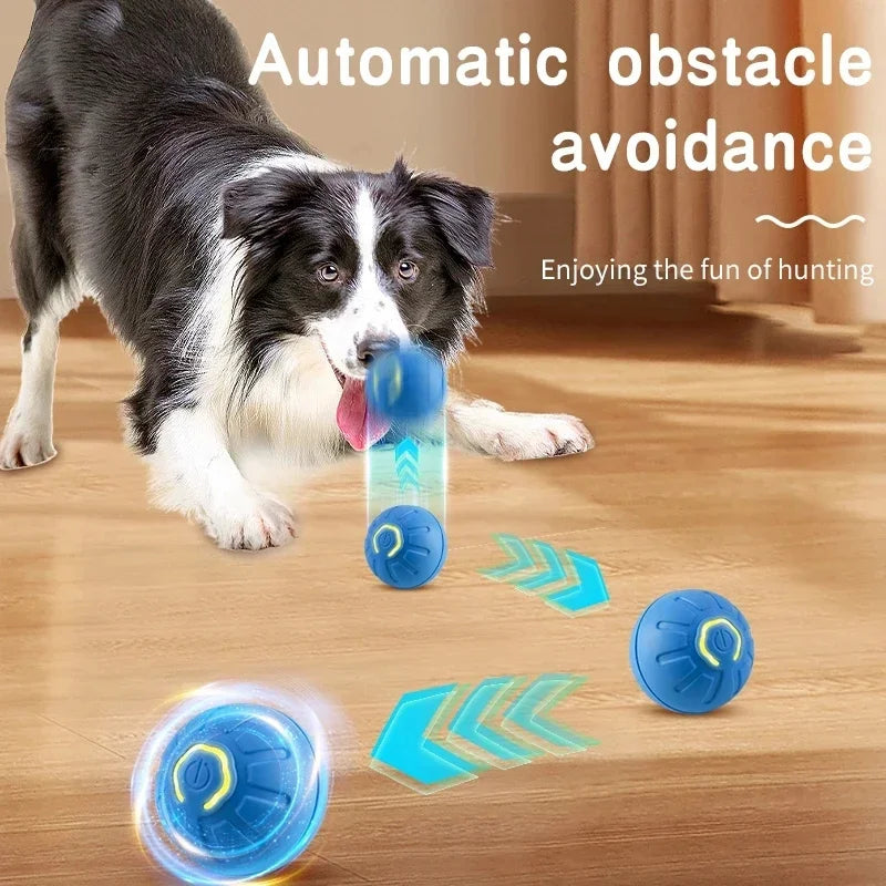 Interactive Smart Dog Ball | Automatic Rolling ball