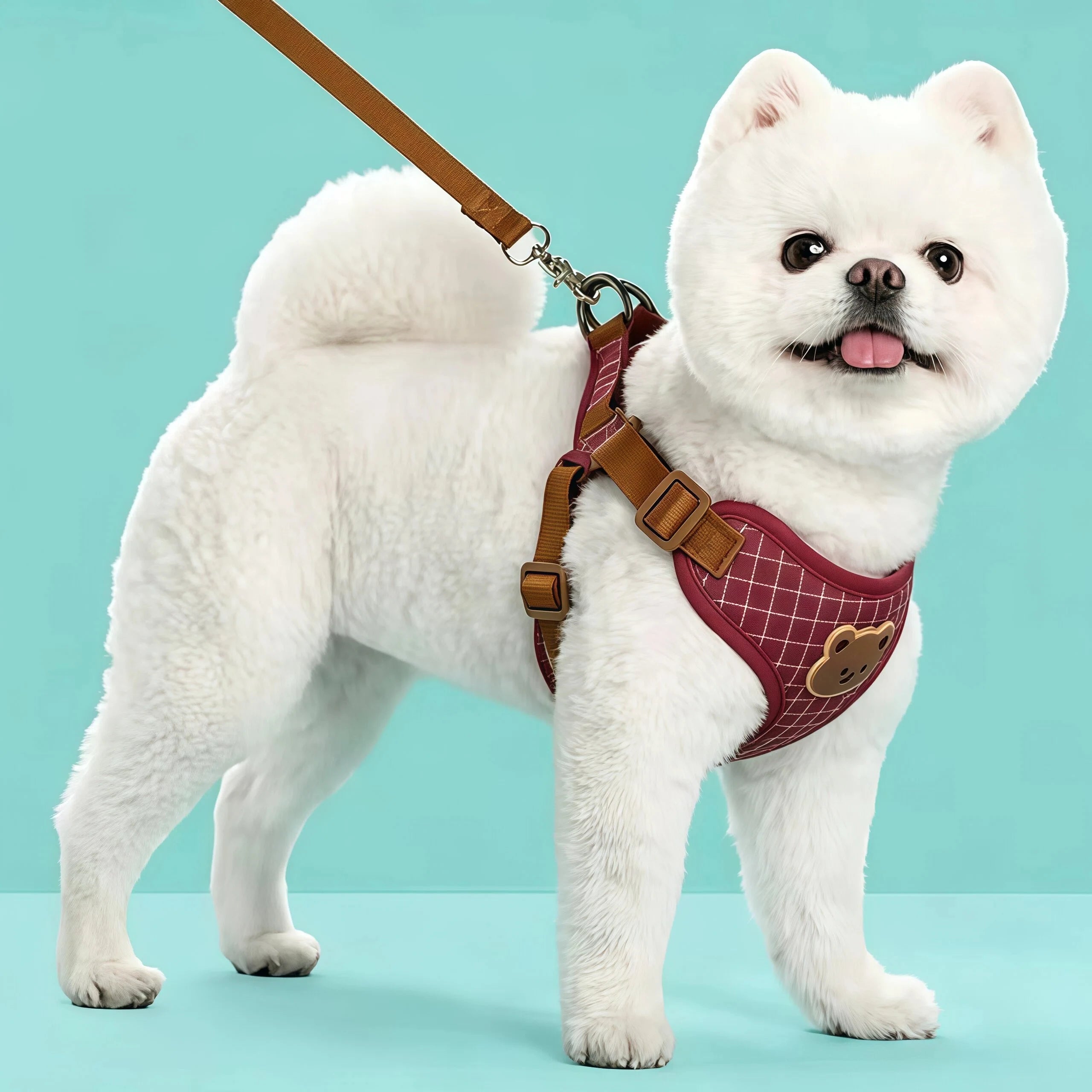 Reflective Pet Harness & Lead Set | Adjustable Dog & Cat Walking Vest