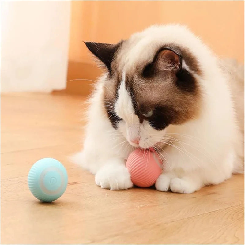 Interactive Smart Dog Ball | Automatic Rolling ball
