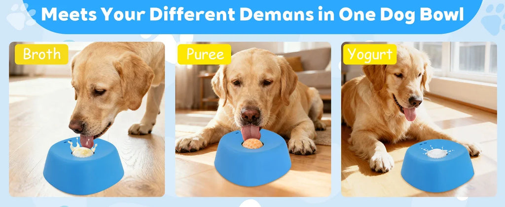 Interactive Slow Feeder Lick Bowl
