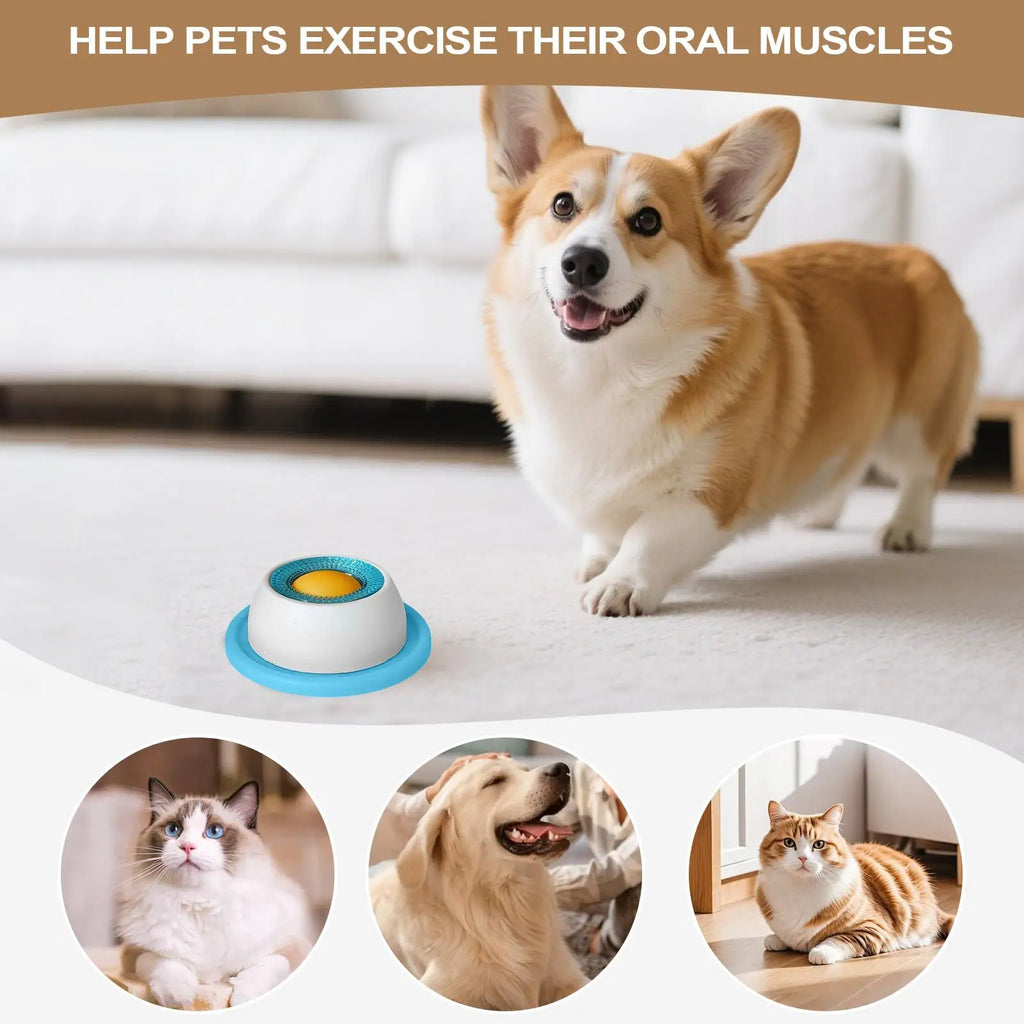 Interactive Dog Treat Puzzle Bowl