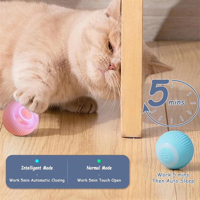 Interactive Smart Dog Ball | Automatic Rolling ball