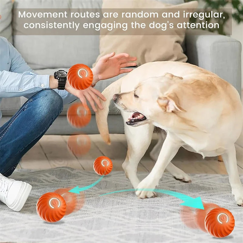 Interactive Smart Dog Ball | Automatic Rolling ball