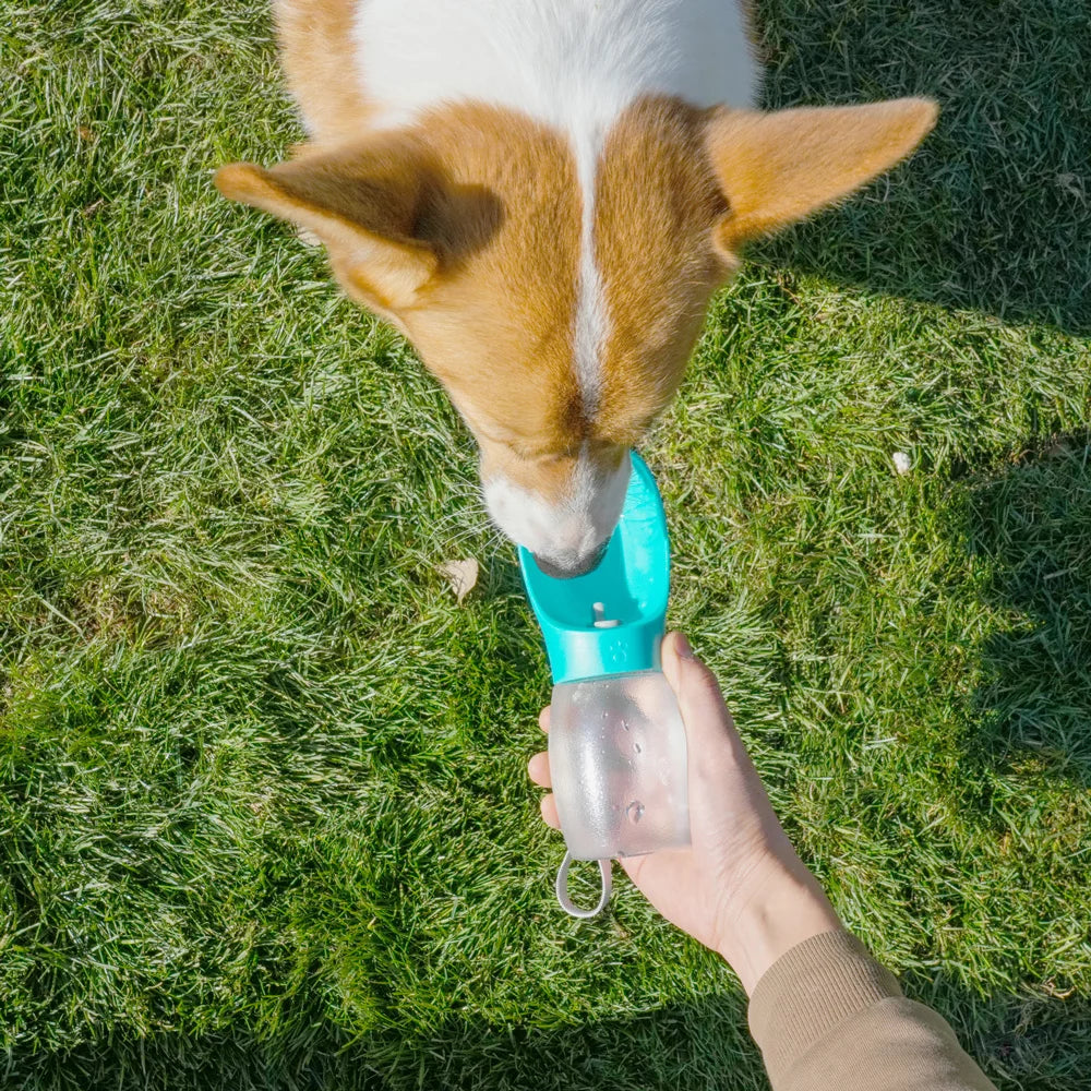 Portable Pet Water Bottle | Dog & Cat Travel Bottle