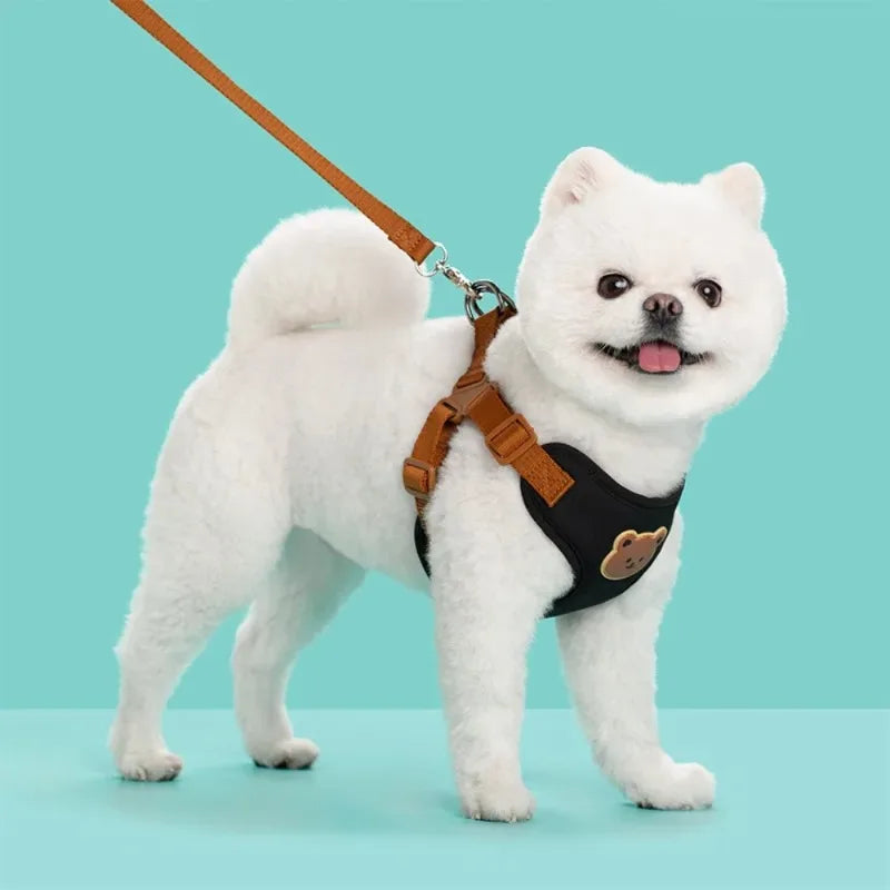 Reflective Pet Harness & Lead Set | Adjustable Dog & Cat Walking Vest
